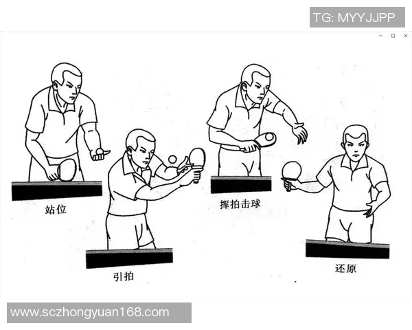 重庆乒乓球队整体压制战术解析与实战应用探讨